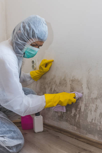 Best Air Quality Testing for Mold Spores  in Frazer, PA