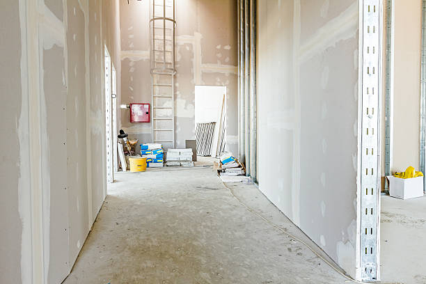 Best Asbestos and Lead Testing During Mold Inspection  in Frazer, PA